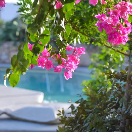 アパート Portes Koufonisia