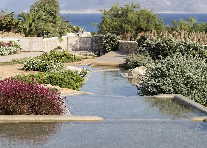 Portes * 쿠포니시아